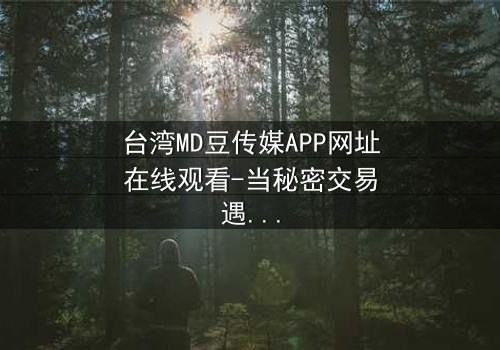 台湾MD豆传媒APP网址在线观看-当秘密交易遇上致命诱惑
