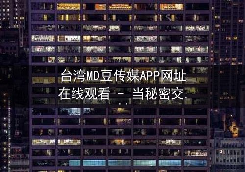 台湾MD豆传媒APP网址在线观看 - 当秘密交易遇上致命诱惑