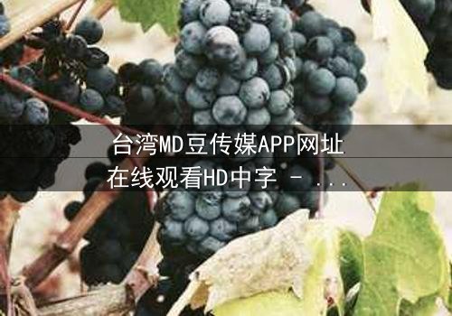台湾MD豆传媒APP网址在线观看HD中字 - 当秘密APP揭开人性最黑暗的欲望